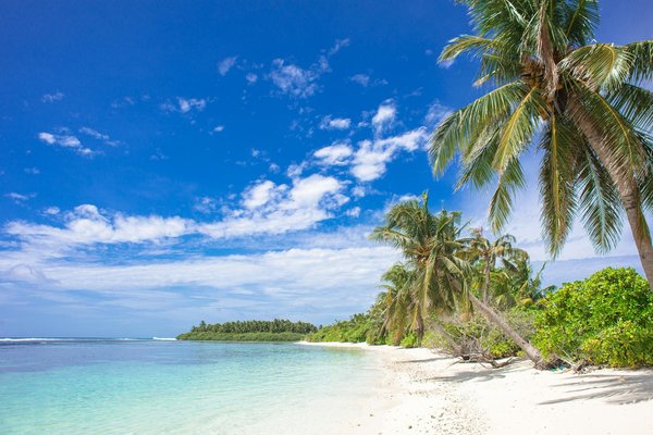 Comment organiser des vacances en Provence avec des ateliers de fabrication de savon et des balades en vélo?